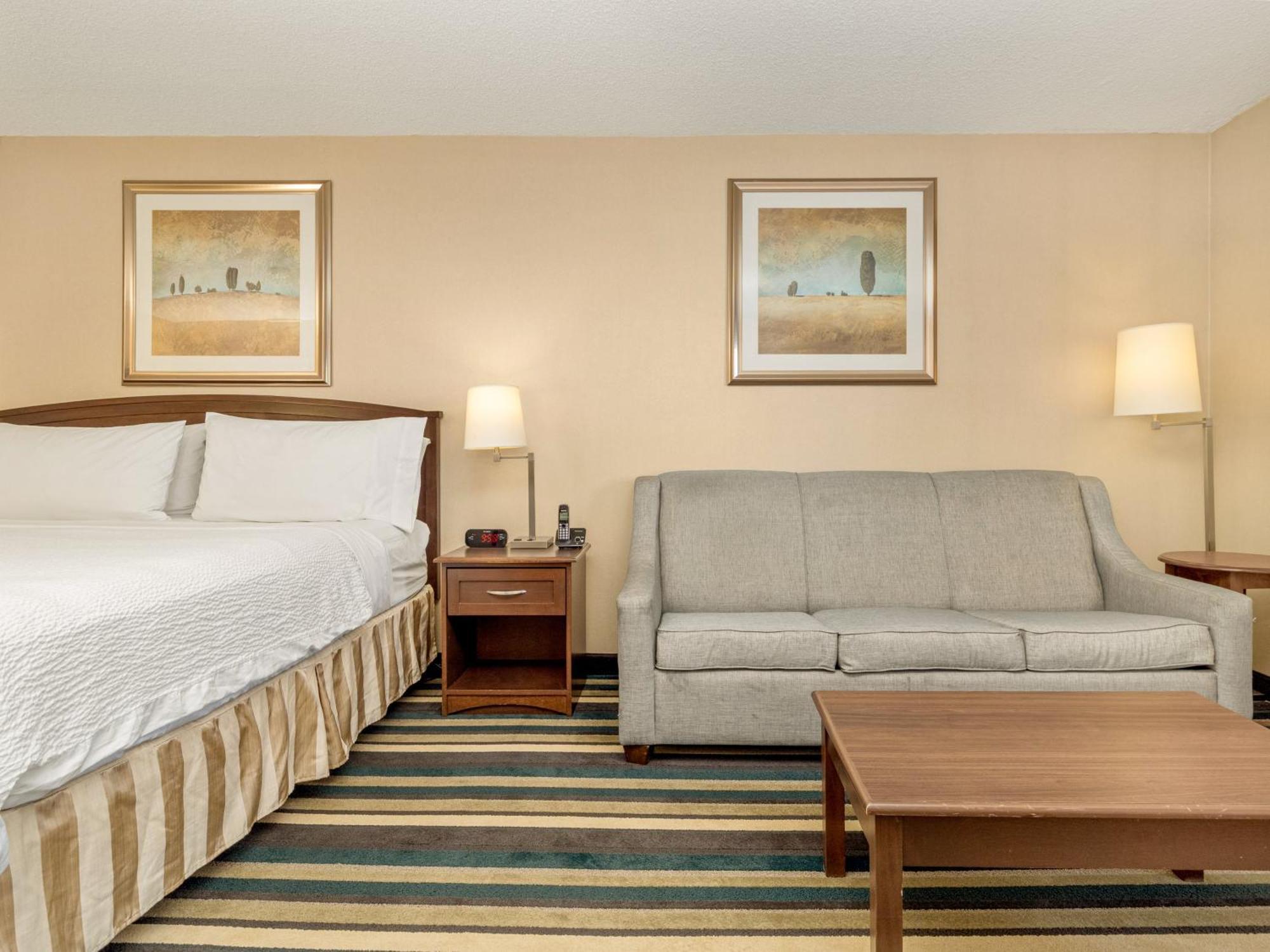 Standard King Room with Sofa Bed,1697868301:JPEG