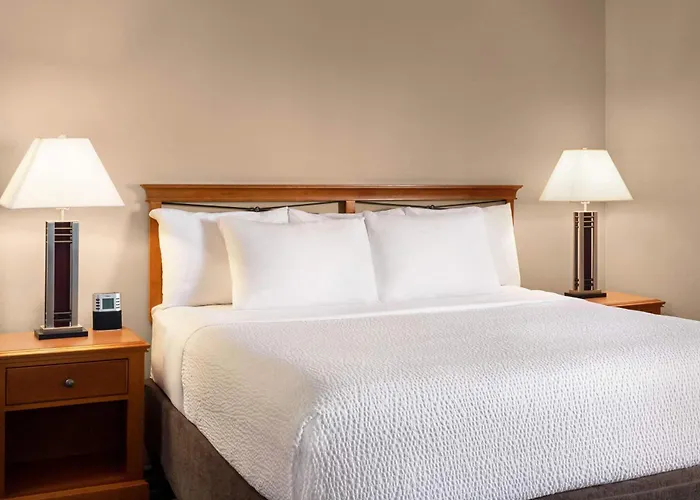 Pet Friendly hotel: Royal Hotel West Edmonton, Trademark Collection By Wyndham